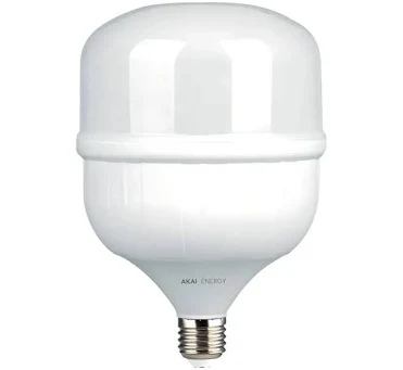 [2729] AMPOLLETA LED 65W LCB135